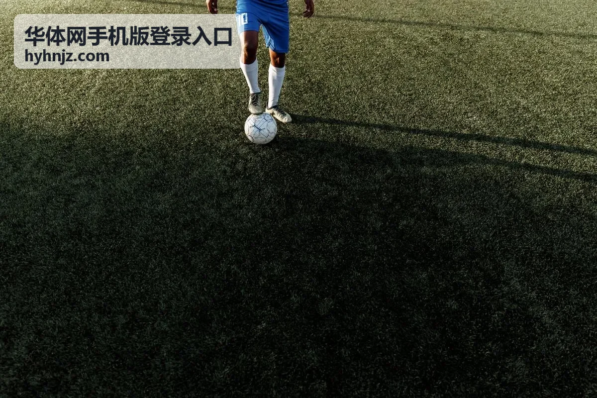 手机上填写华体网手机版登录入口信息的输入区域示意
