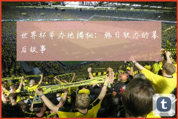 世界杯举办地揭秘：韩日联办的幕后故事